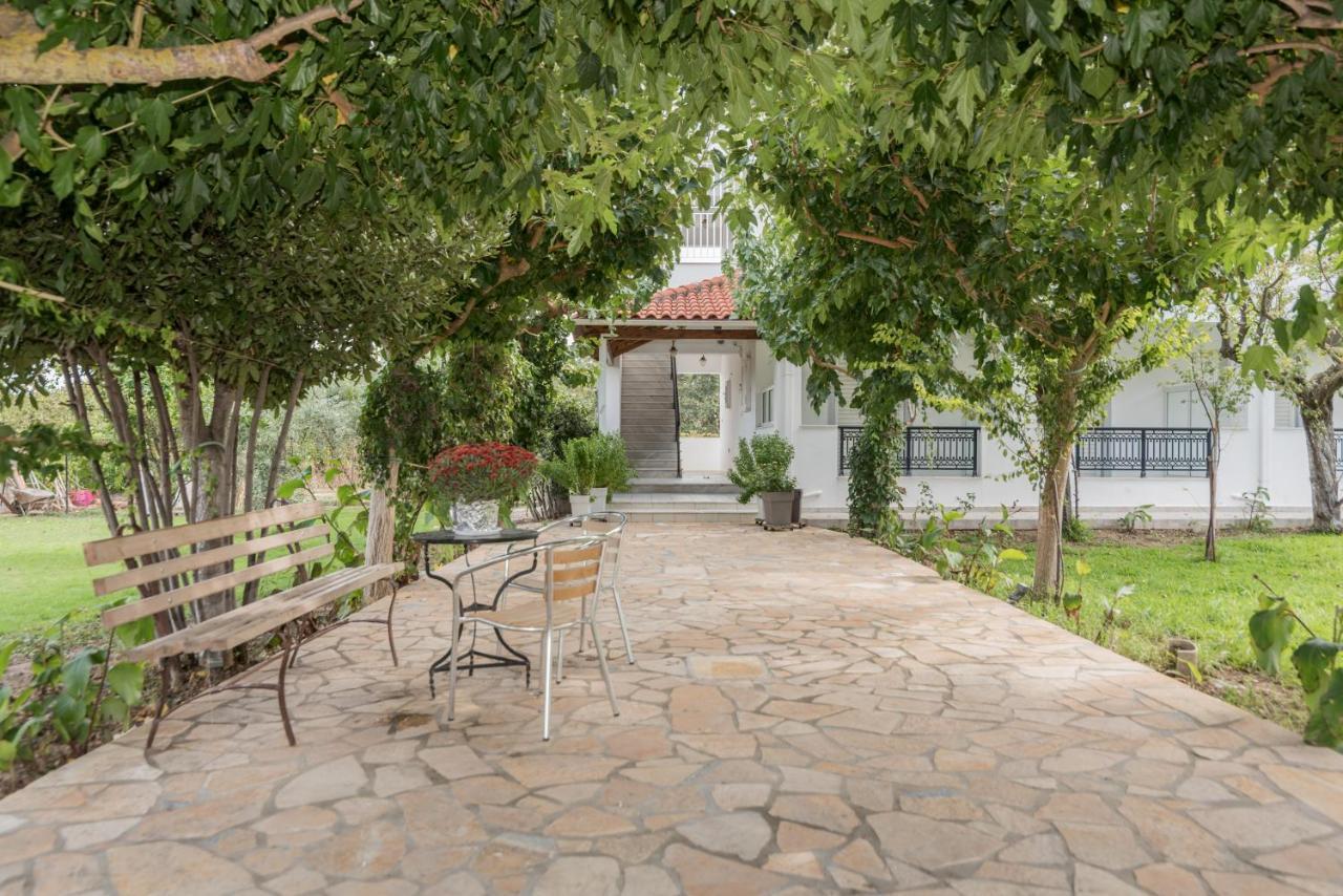 אליקס Yiota Studios מראה חיצוני תמונה